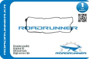 ROADRUNNER RR132701E411